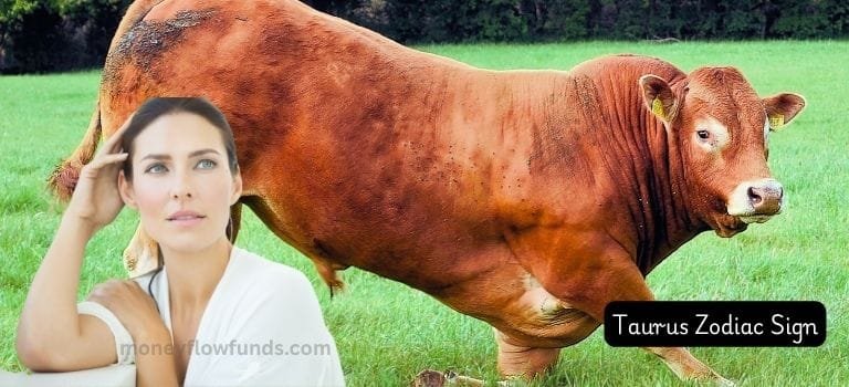 Taurus Zodiac Sign
