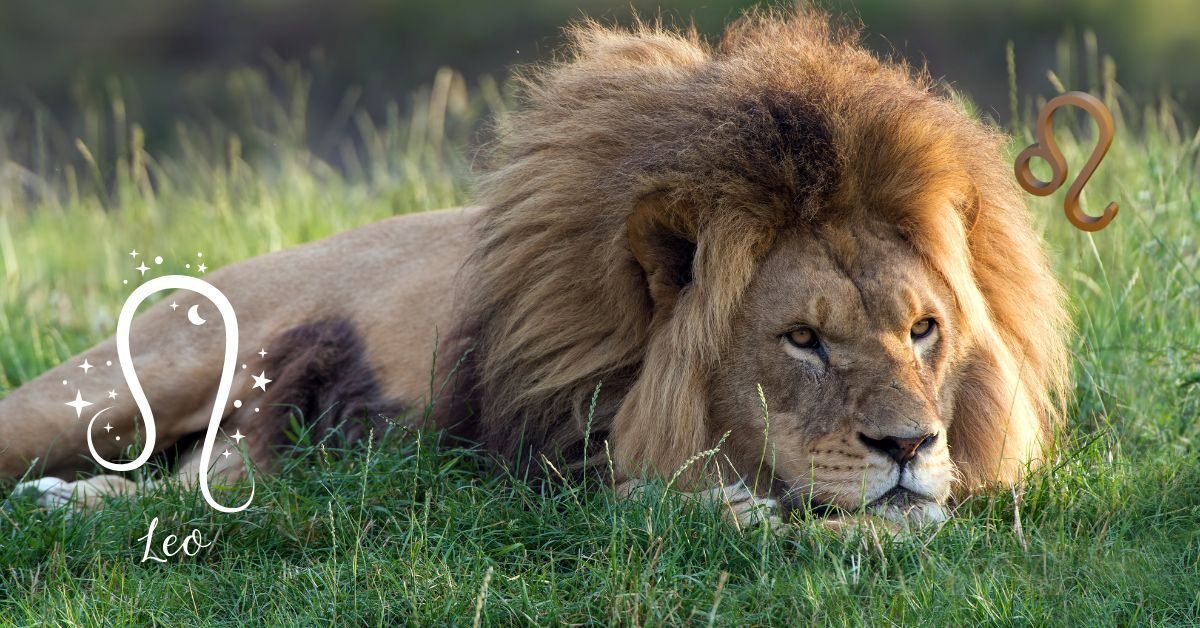 Leo Zodiac Sign Personality​​ Explained: Bold, Brave & Magnetic